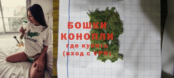 шишки Осинники