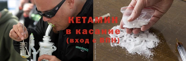 шишки Осинники