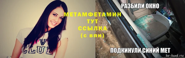 шишки Осинники