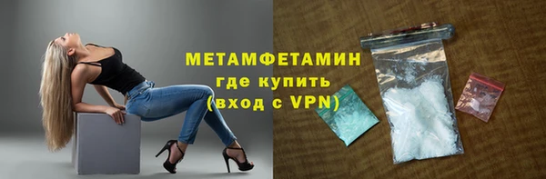 шишки Осинники