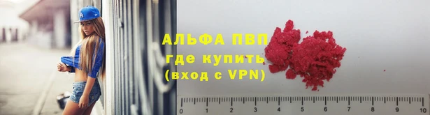 шишки Осинники