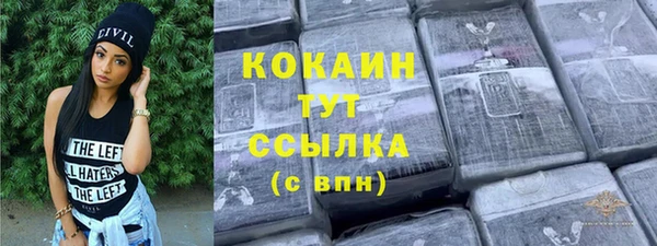 шишки Осинники