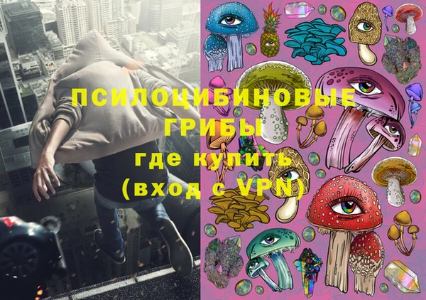 шишки Осинники