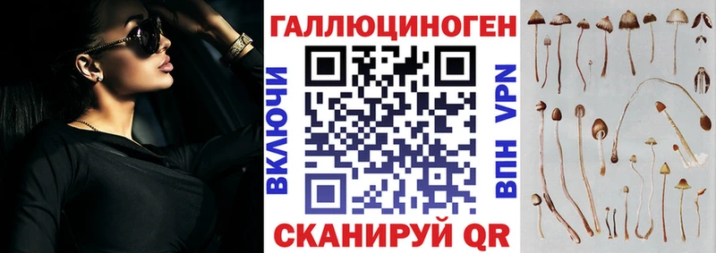 Галлюциногенные грибы Cubensis  Ужур 