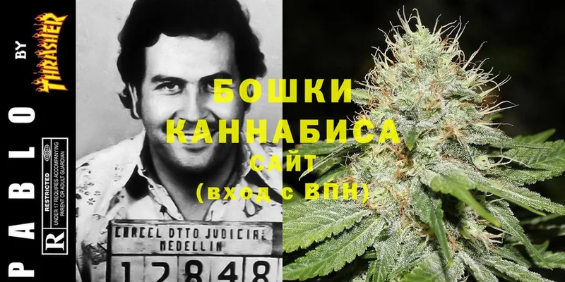 Бошки марихуана White Widow  Ужур 